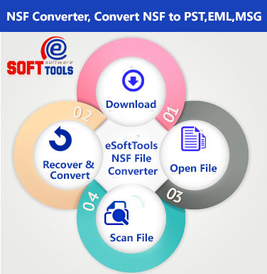 nsfpstsoftware.jpg